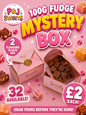 100g Fudge Mystery Box