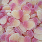 Vidal Sweets R' Fun Peach Hearts 120 Pieces 780g